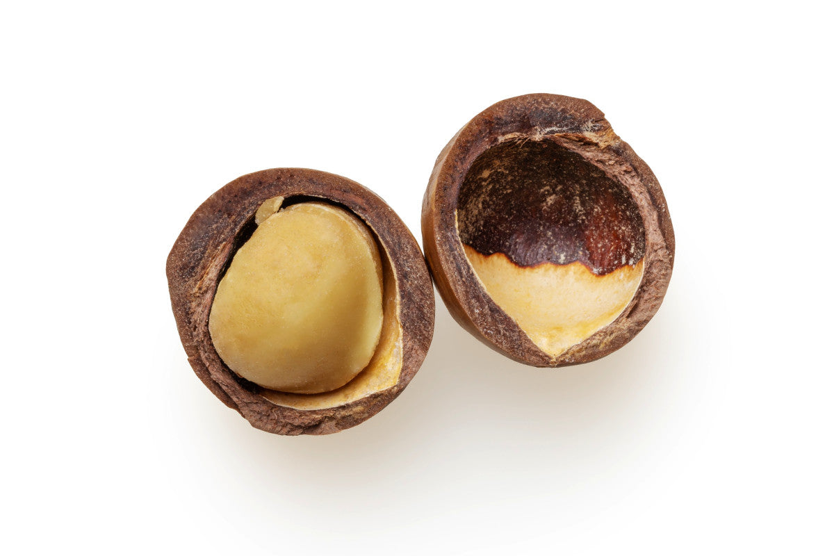 Wie knackt man die Schale der Macadamia?