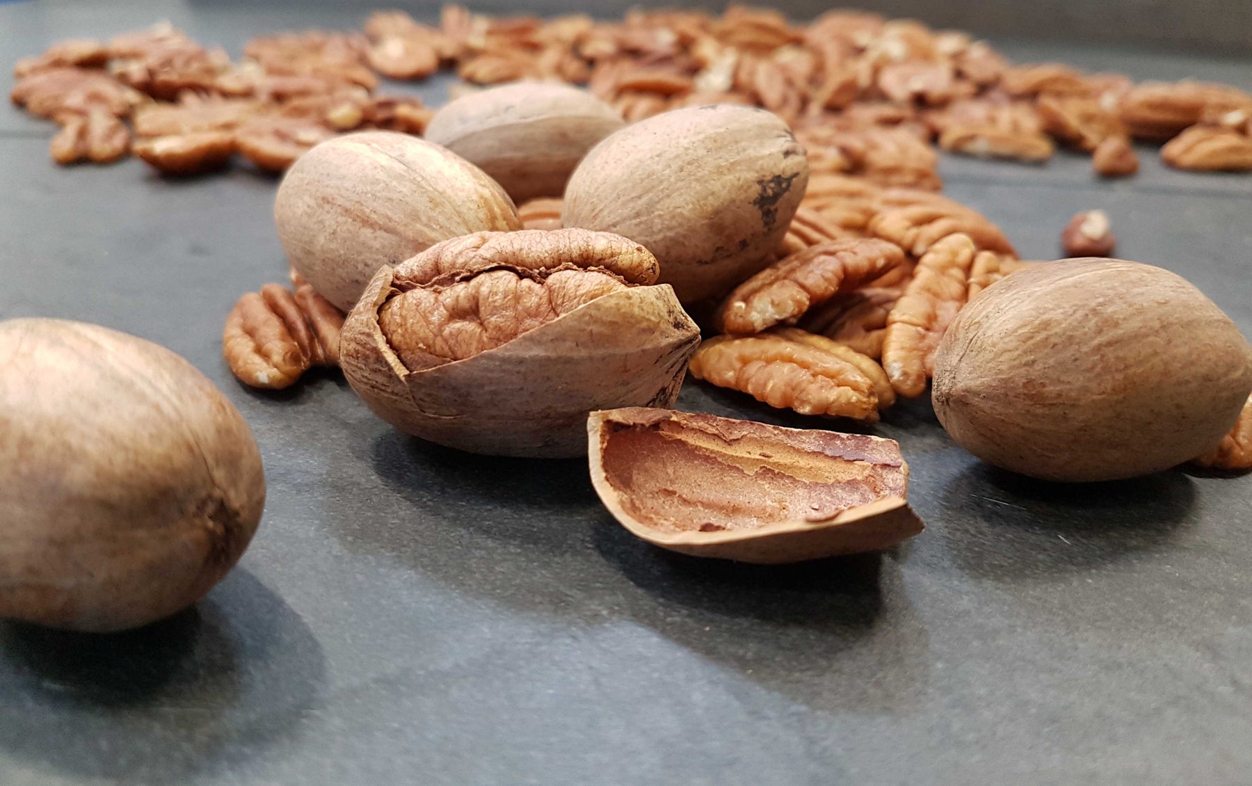 Genussprofil 5: Pekannüsse