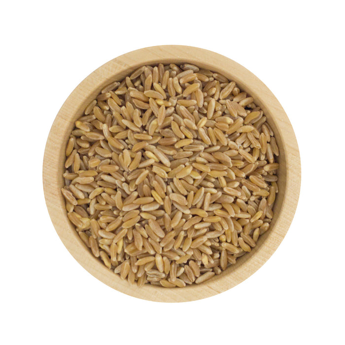 Ecoterra Bio Kamut Khorasan Weizen
